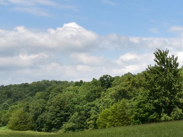 Land for sale in Batesville, Franklin County