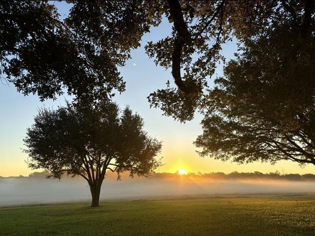 Farm for sale in Brenham, Washington County