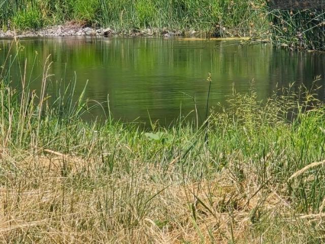 House for sale in Yreka, California