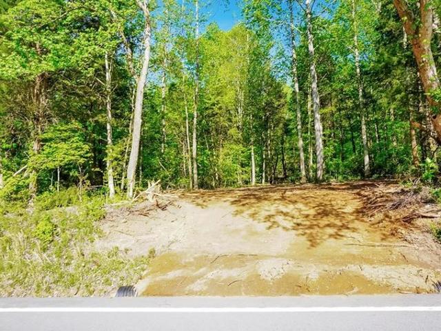 Land for sale in Tennessee