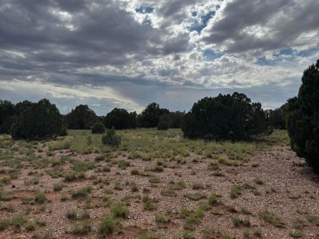 Land for sale in Navajo, Arizona