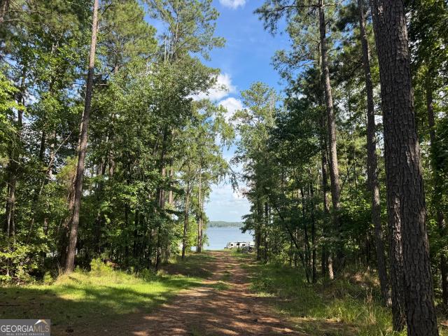 Land for sale in Sparta, Georgia
