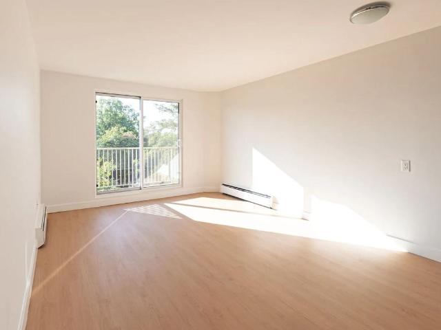 Apartment for rent in Arva, Ontario