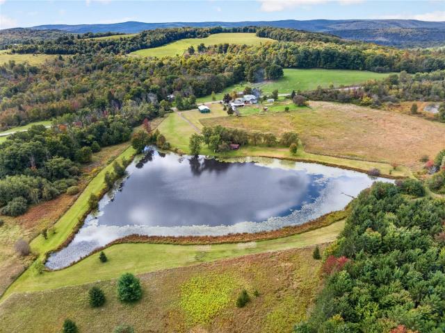 Land for sale in Town of Berkshire, Tioga County