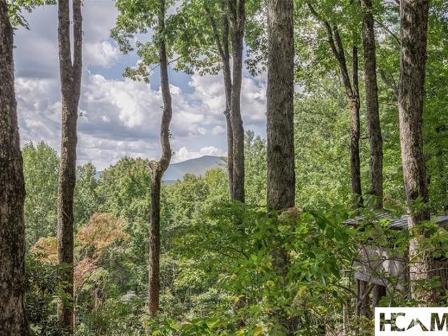 House for sale in Highlands, North Carolina