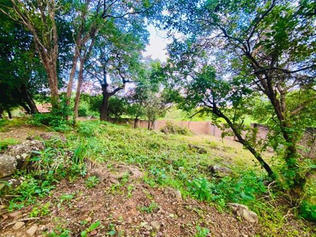 Land for sale in Ehlanzeni, Mpumalanga