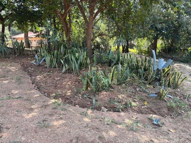 Land for sale in Ehlanzeni, Mpumalanga