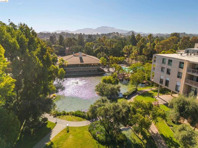 Condo for sale in Walnut Creek, California