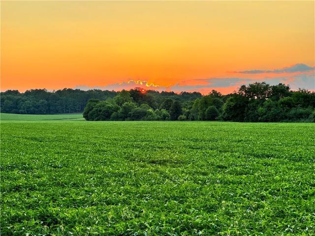 Land for sale in Kingston, Bartow County