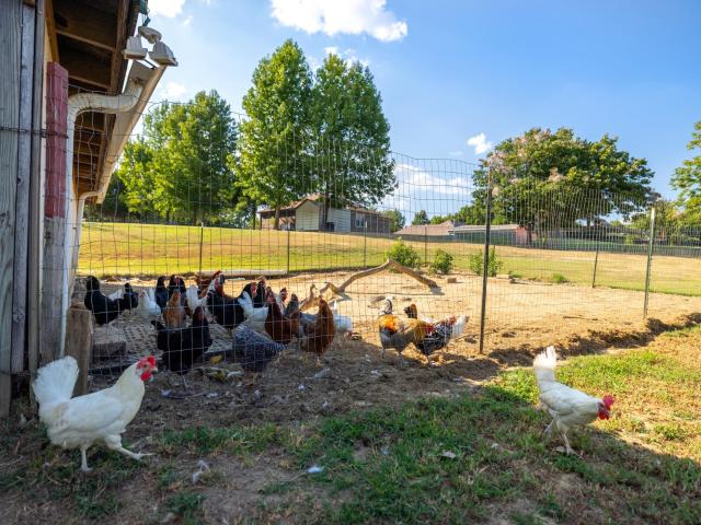 House for sale in Covington, West Tennessee