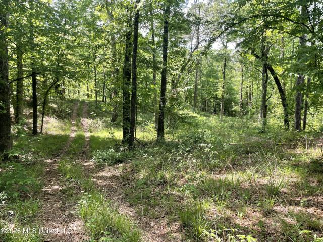 Property for sale in Bogue Chitto, Mississippi