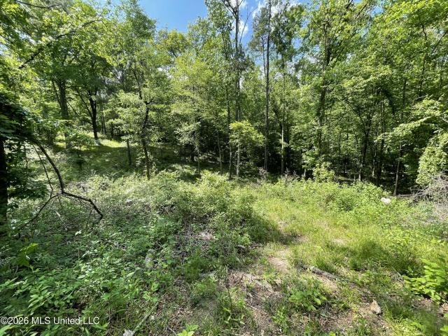 Land for sale in Bogue Chitto, Mississippi