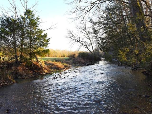 Land for sale in Edmonton, Kentucky