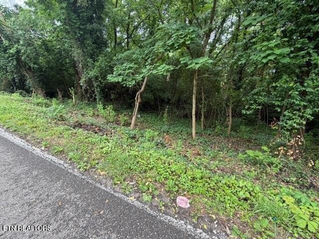 Land for sale in Tennessee