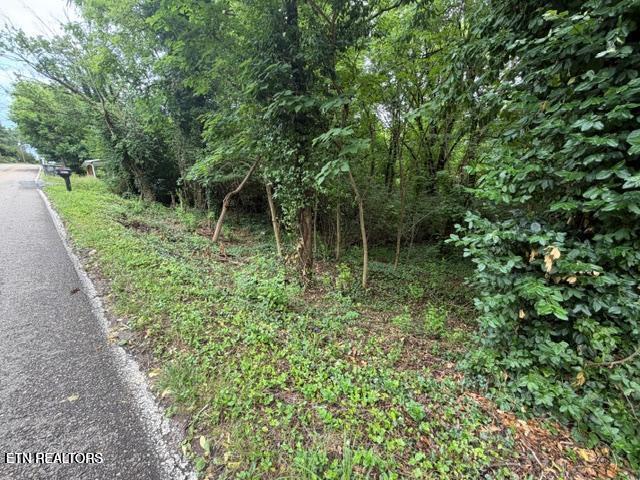 Land for sale in Tennessee
