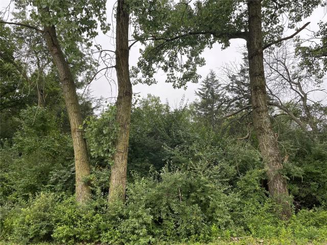 Land for sale in Guthrie, Iowa