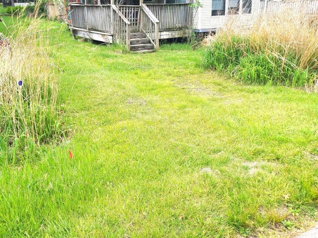 Land for sale in Sublette, Illinois
