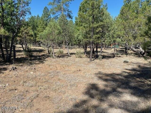 Land for sale in Happy Jack, Arizona
