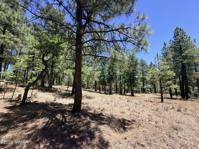 Land for sale in Happy Jack, Coconino County
