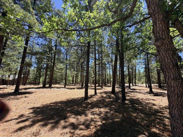 Land for sale in Happy Jack, Arizona