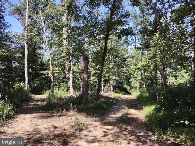 Land for sale in White Hall, Maryland