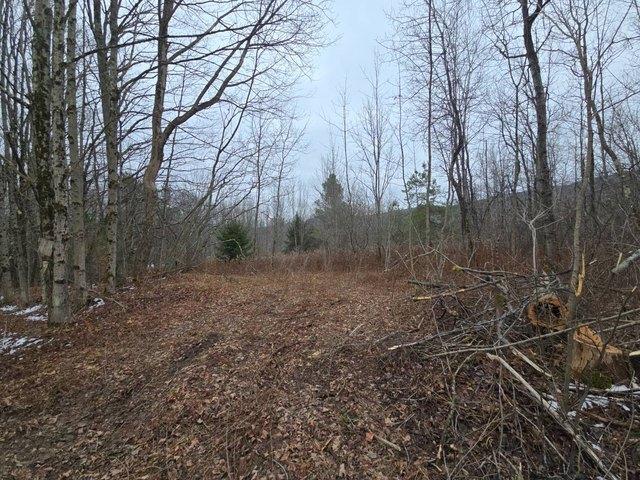 Land for sale in Plymouth, New York