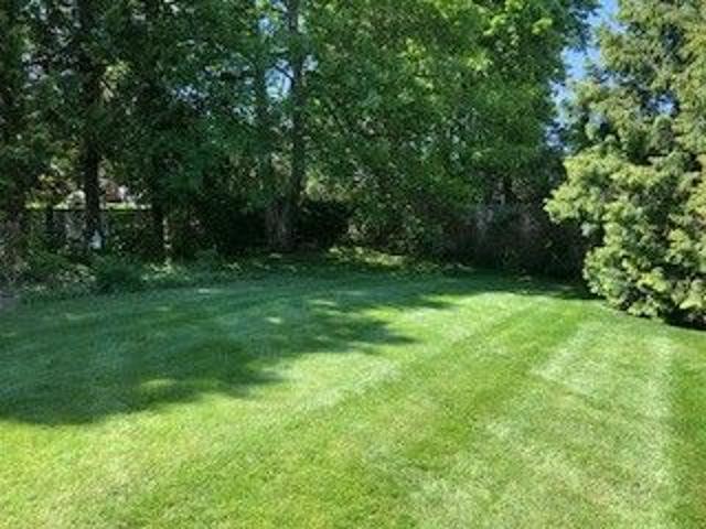 House for rent in Newport House for rent in Newport