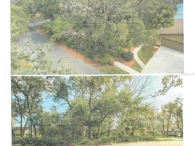 Land for sale in Lake Mary, Florida