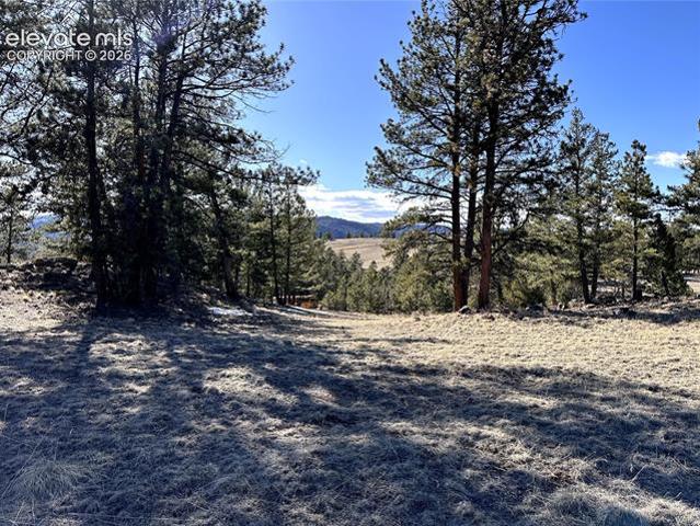 Land for sale in Teller, Colorado