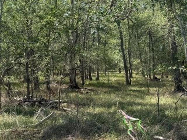 Land for sale in Wilson, Texas