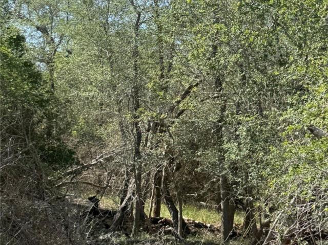 Land for sale in Wilson, Texas