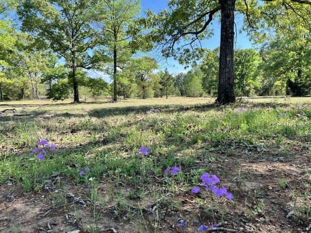 Land for sale in Many, Louisiana