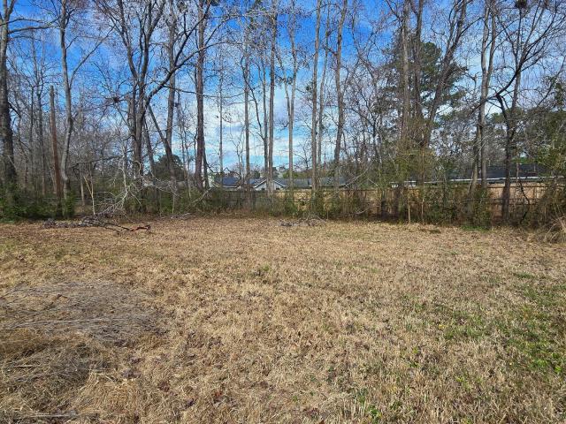 House for sale in Goose Creek, South Carolina