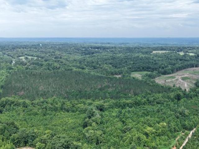 Land for sale in Reidsville, North Carolina