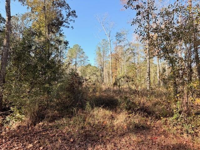 Land for sale in Ponchatoula, Louisiana