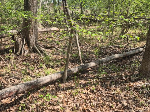 Land for sale in Durham, North Carolina