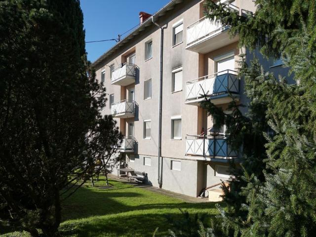 Apartment mieten in Gusen, Langenstein