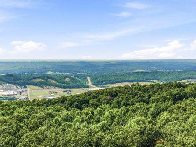 Land for sale in Flat Rock, Alabama