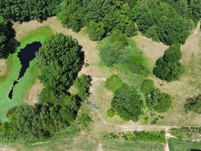 Land for sale in Nesbit, Mississippi