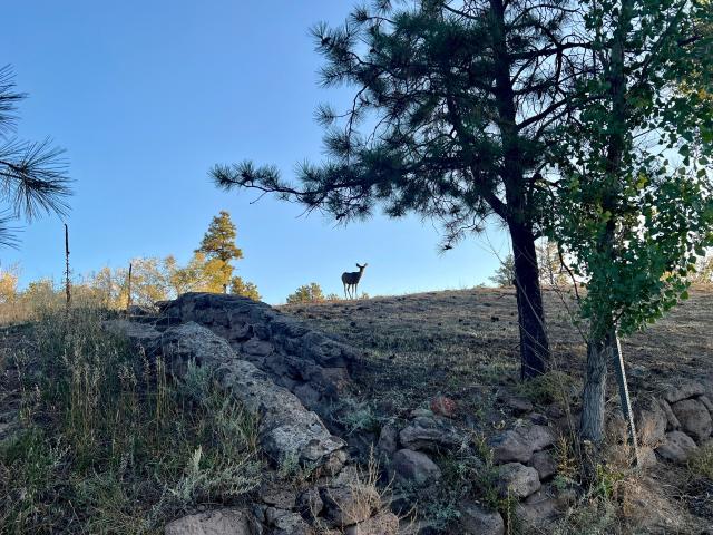 Land for sale in Los Alamos, New Mexico
