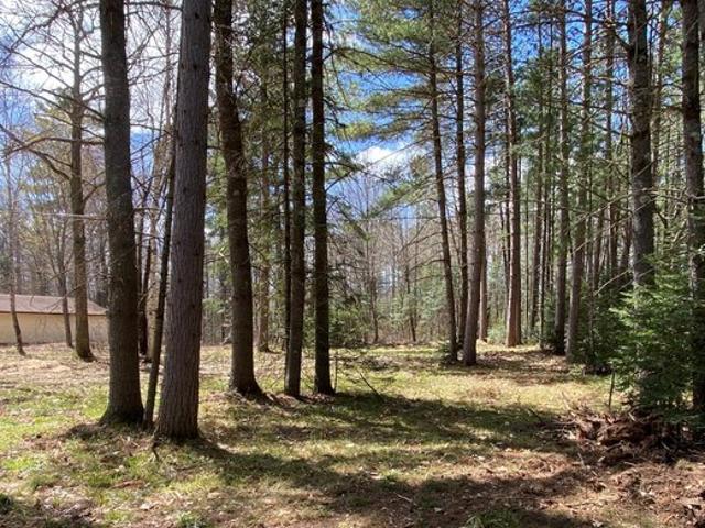 Land for sale in Vilas, Wisconsin