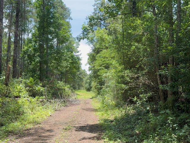 Land for sale in Newton, Texas