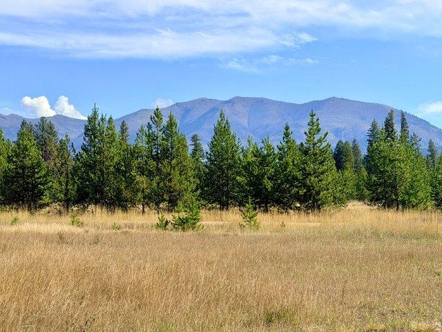 Land for sale in Seeley Lake, Montana