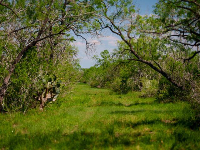 Farm for sale in Campbellton, Texas