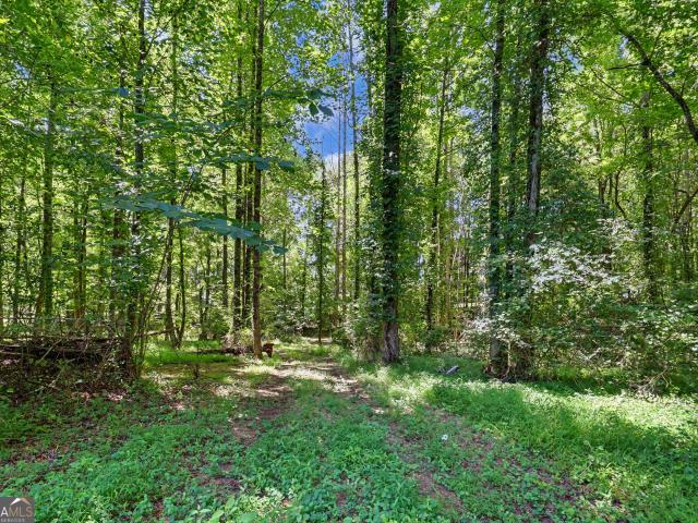 Land for sale in Demorest, Georgia