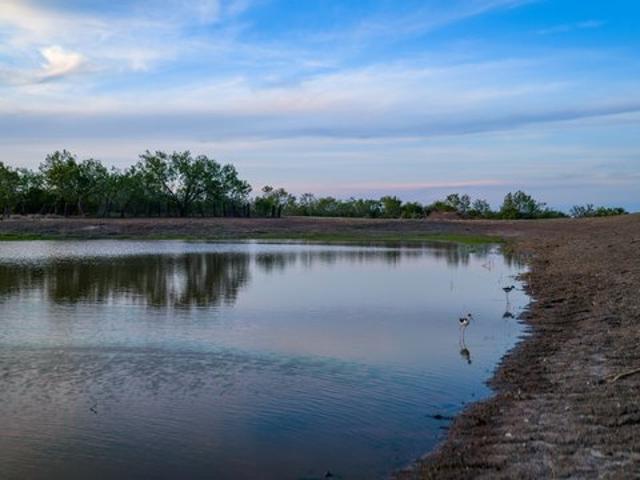 Farm for sale in Campbellton, Texas