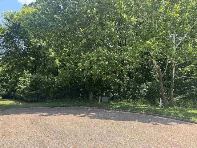 Land for sale in Tennessee