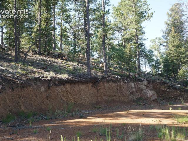 Land for sale in Divide, Teller County