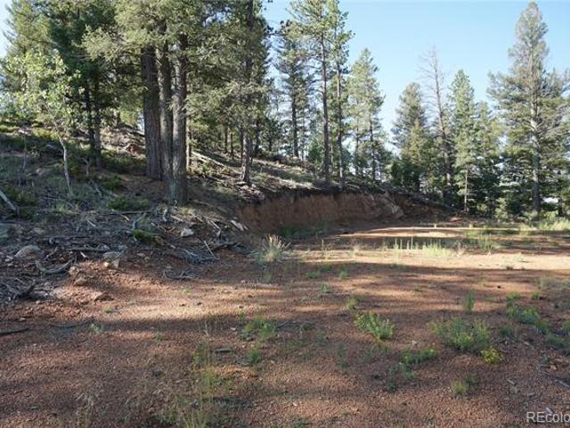 Land for sale in Divide, Teller County