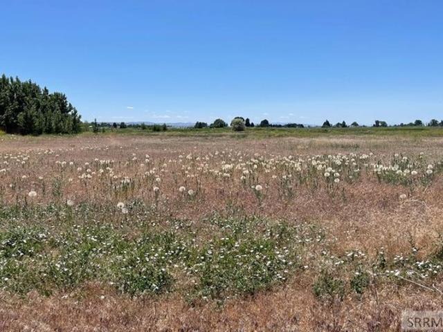 Land for sale in Bingham, Idaho
